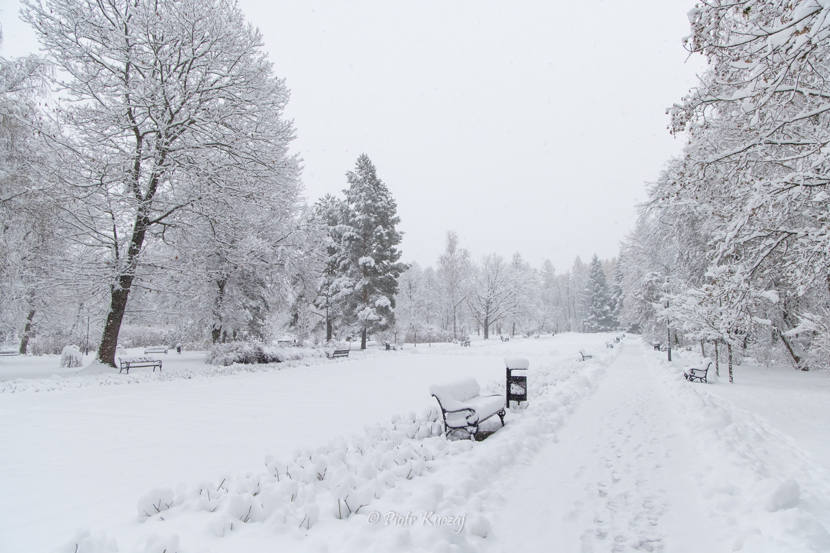 Park Zdrojowy w Rabce zimą