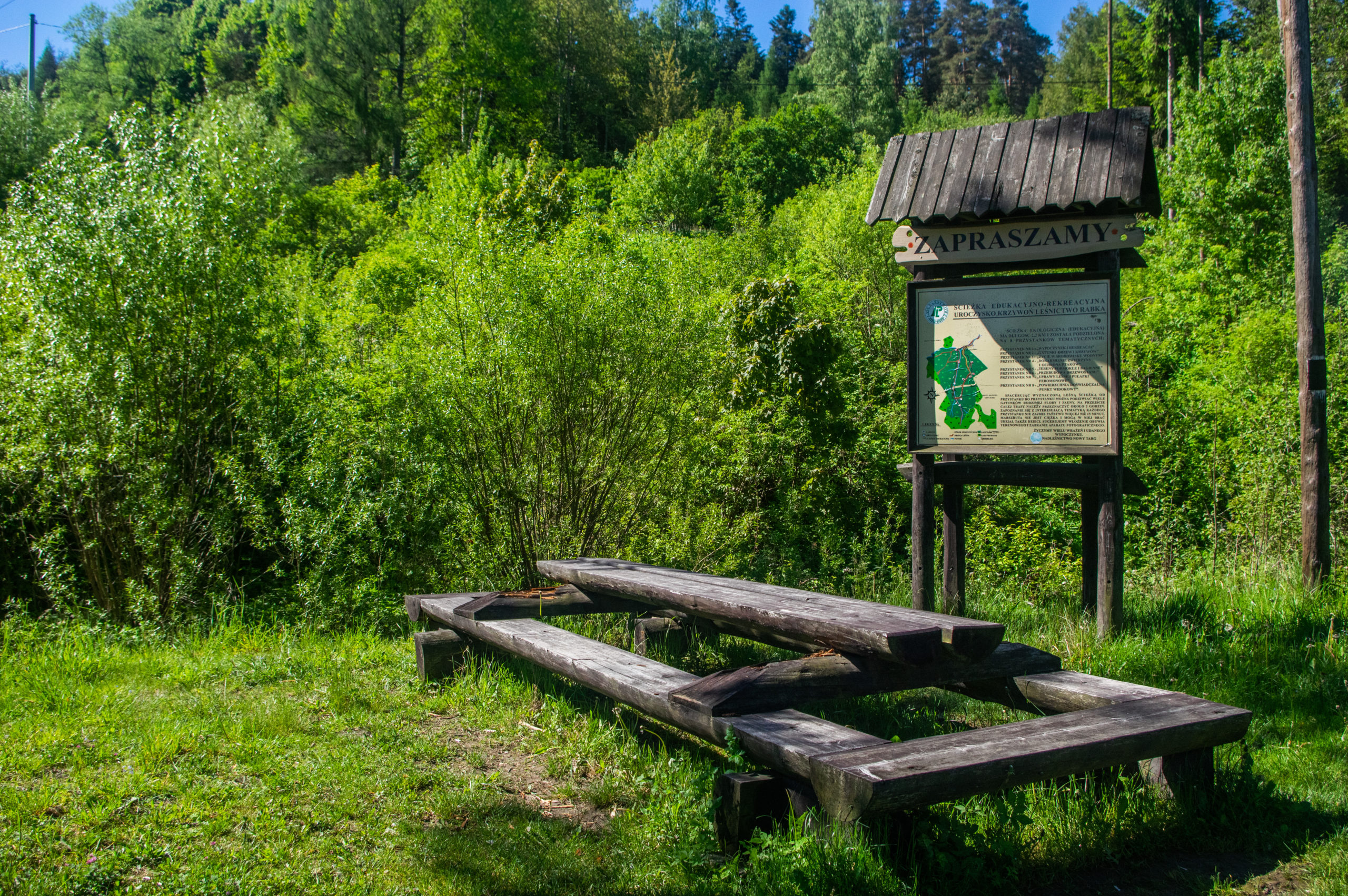 Krzywoń
