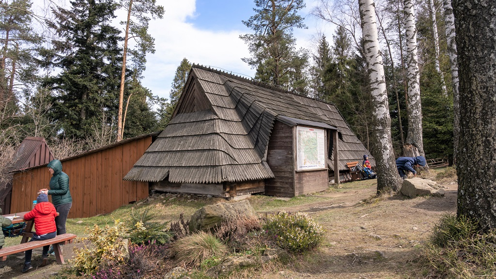 Wycieczka na Maciejową — widoki w Gorcach